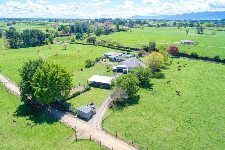 Photo of property in 570 Tauranga Road, Te Poi, Matamata, 3473