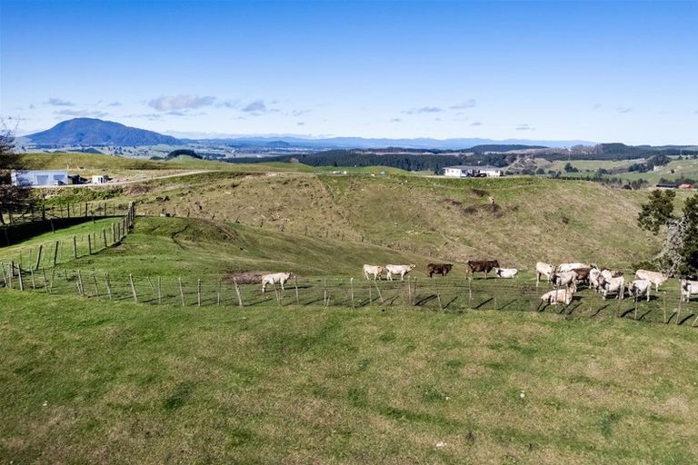 Photo of property in 545 Palmer Mill Road, Wairakei, Taupo, 3384