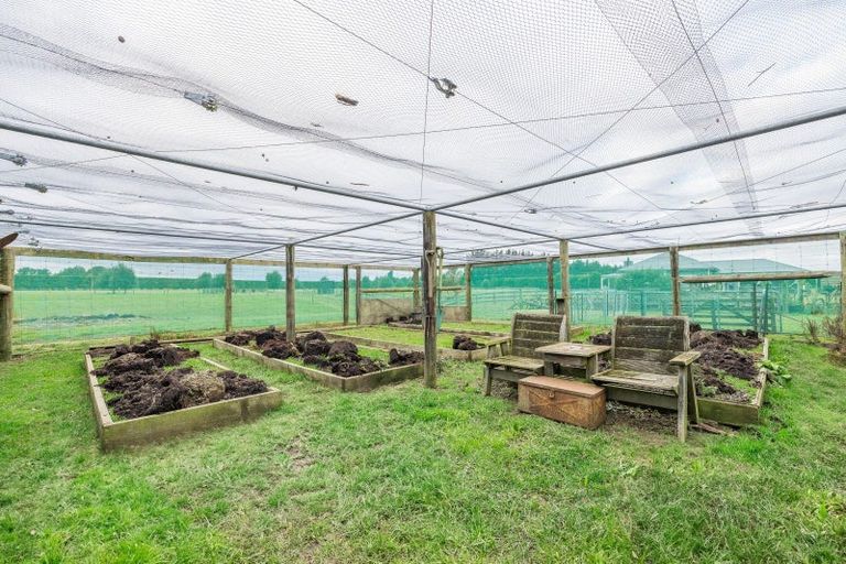 Photo of property in 161 Mckays Road, West Melton, Christchurch, 7671