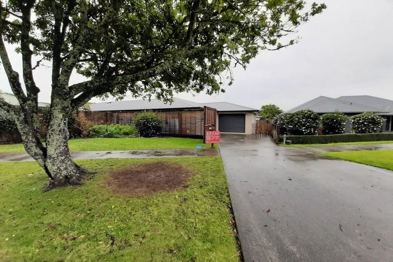 Photo of property in 15 Hogan Street, Pukekohe, 2120