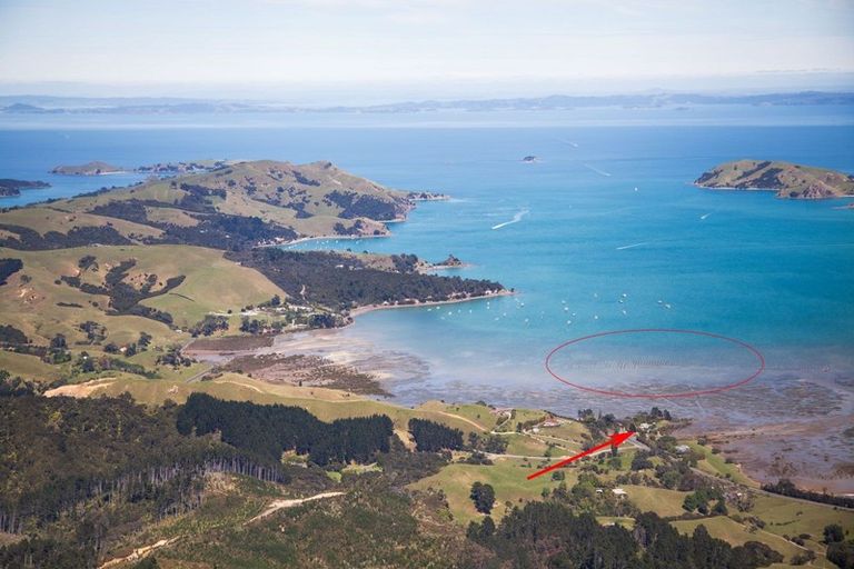 Photo of property in 1613 Manaia Road, Manaia, Coromandel, 3581