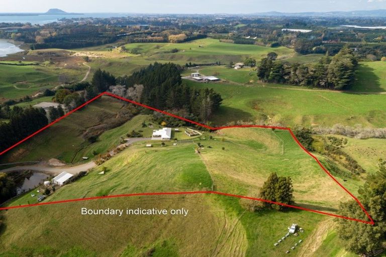 Photo of property in 25c Youngson Road, Whakamarama, Tauranga, 3180