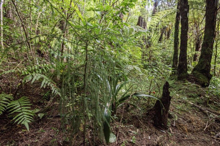 Photo of property in 38 Our Road, Whangarei Heads, 0174