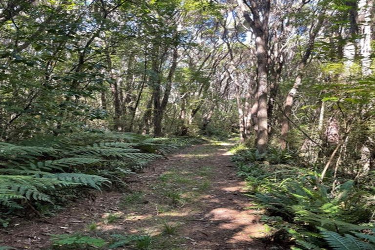 Photo of property in 28 Patmos Avenue, Woodhaugh, Dunedin, 9010