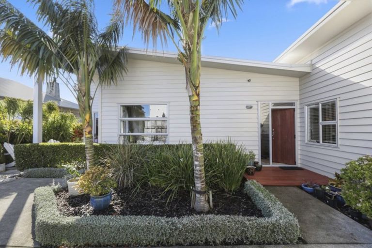 Photo of property in 247a Carrington Street, Vogeltown, New Plymouth, 4310