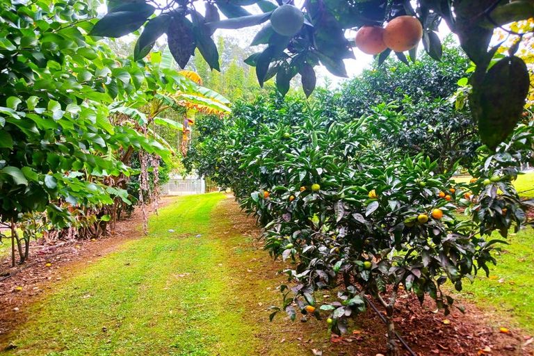 Photo of property in 47 Ness Road, Waipapa, Kerikeri, 0295