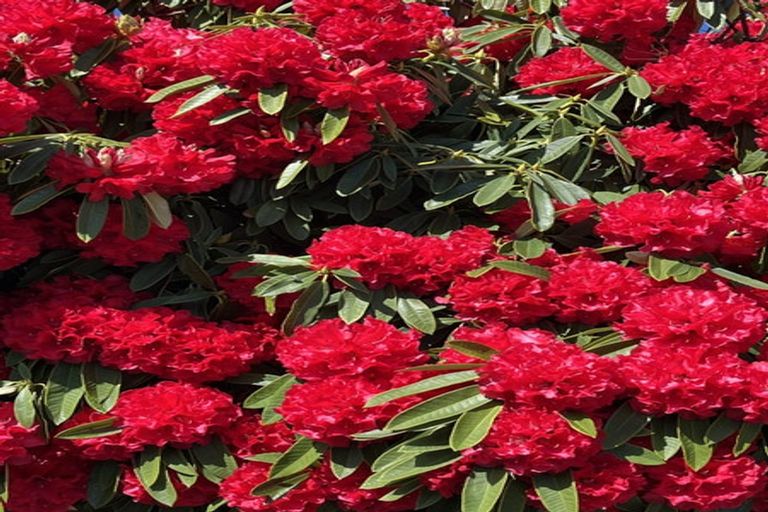 Photo of property in 1/54 Rutherford Street, Woolston, Christchurch, 8023