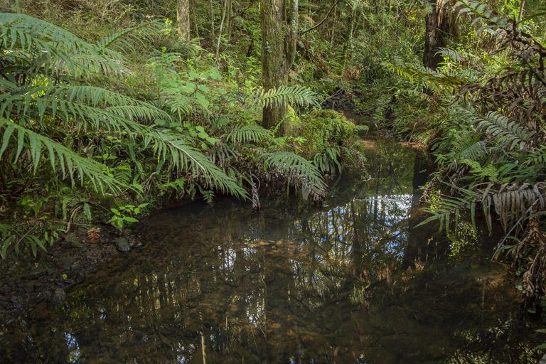 Photo of property in 27 Opouteke Road, Pakotai, Whangarei, 0172