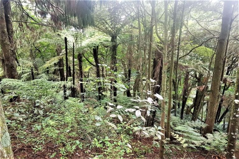 Photo of property in 325 Bald Hill Road, Waiuku, 2681