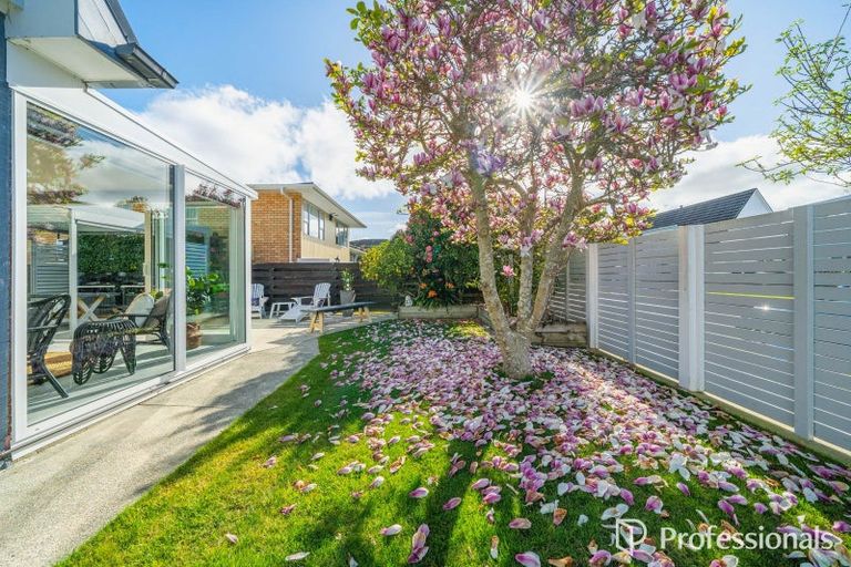 Photo of property in 32 Orr Crescent, Hutt Central, Lower Hutt, 5011