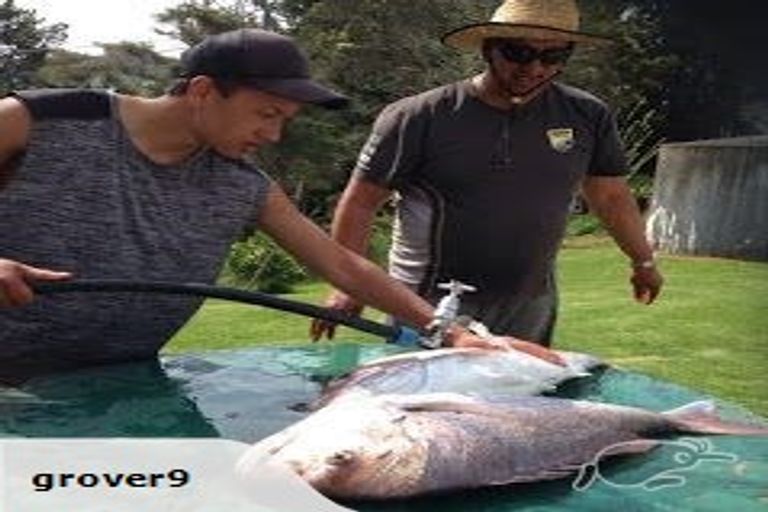 Photo of property in 502 Waipiro Road, Waipiro, Tokomaru Bay, 4079