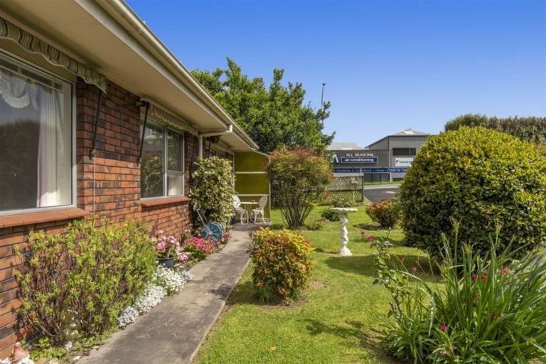 Photo of property in 101 Waihi Road, Judea, Tauranga, 3110