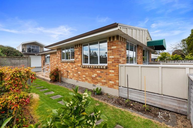 Photo of property in 196 Moffat Road, Bethlehem, Tauranga, 3110