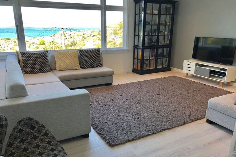 Photo of property in 14 Coney Hill Road, Saint Clair, Dunedin, 9012