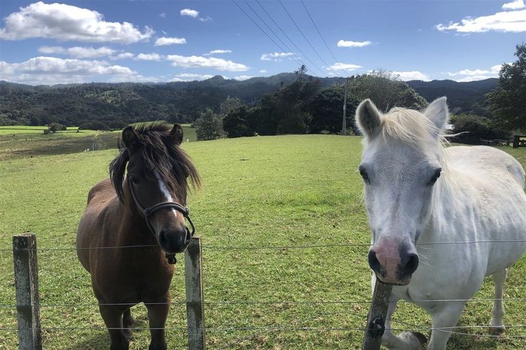 Photo of property in 23 Ngunguru Ford Road, Kiripaka, Whangarei, 0173