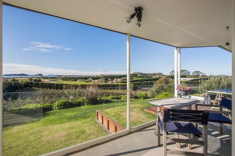 Photo of property in 252 Tuapiro Road, Tahawai, Katikati, 3170