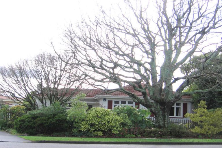 Photo of property in 19 Ihaka Street, Hokowhitu, Palmerston North, 4410