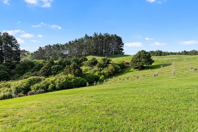 Photo of property in 1276 Weranui Road, Wainui, Silverdale, 0994