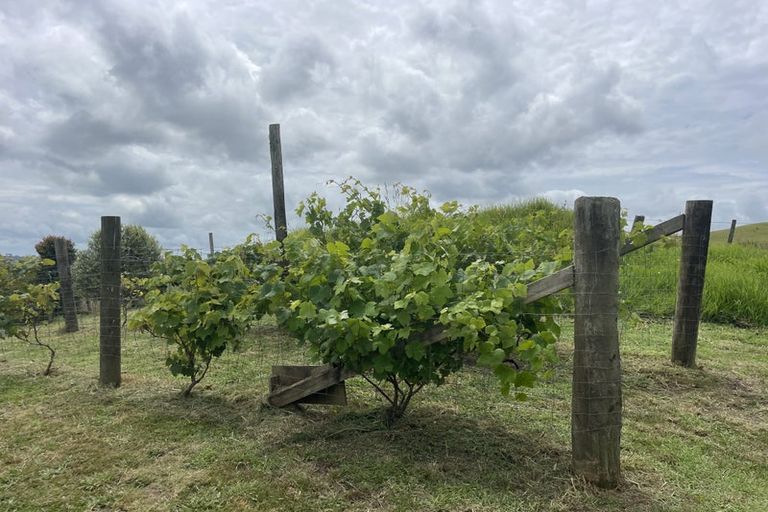 Photo of property in Dunkerron Farm, 852 Oneriri Road, Kaiwaka, 0573