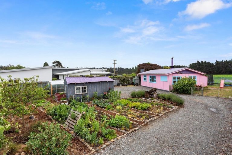 Photo of property in 26 Grierson Avenue, Amberley, 7481