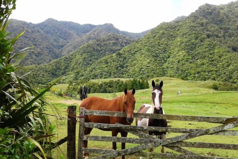 Photo of property in 445 Taita Road, Waimamaku, Kaikohe, 0473