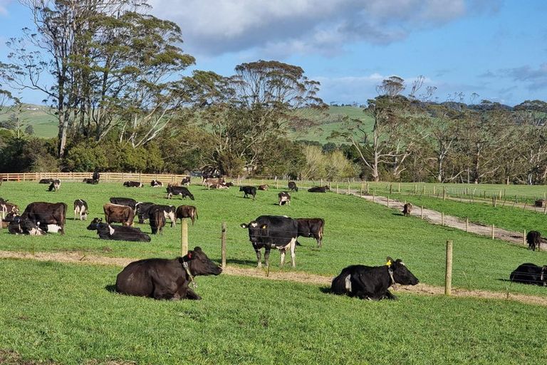Photo of property in 1594 Millbrook Road, Taipuha, Paparoa, 0571