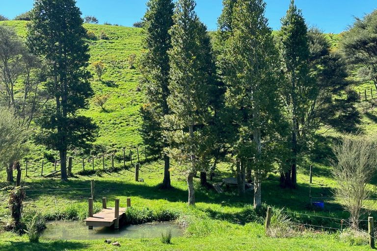 Photo of property in 667 Hakarimata Road, Ngaruawahia, Huntly, 3771