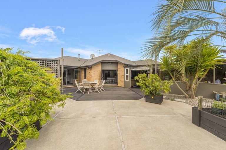 Photo of property in 19 Holford Place, Huntington, Hamilton, 3210