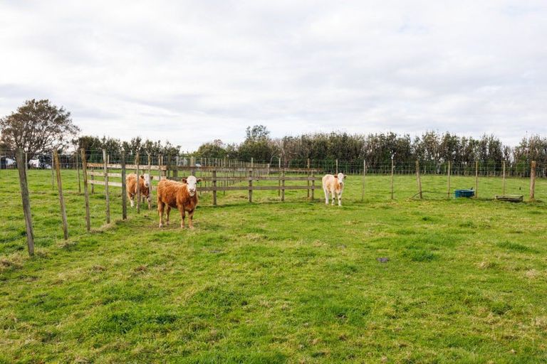 Photo of property in 187 High Street, Bulls, 4818