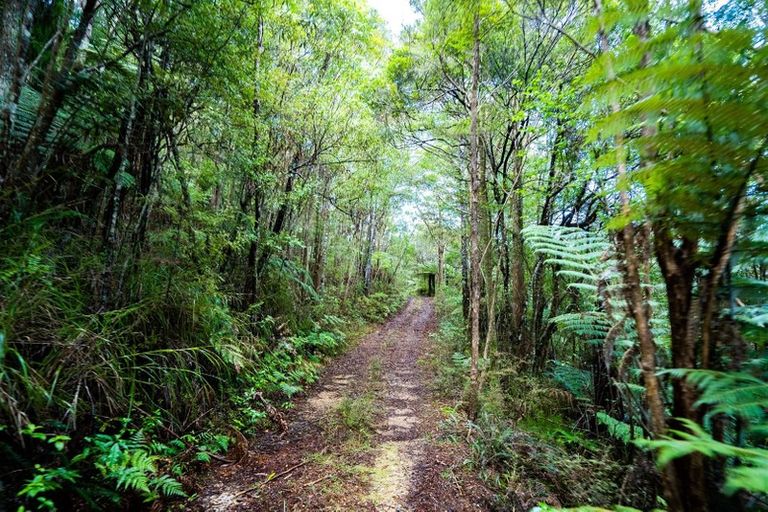 Photo of property in 1458 Ngunguru Road, Ngunguru, Whangarei, 0173