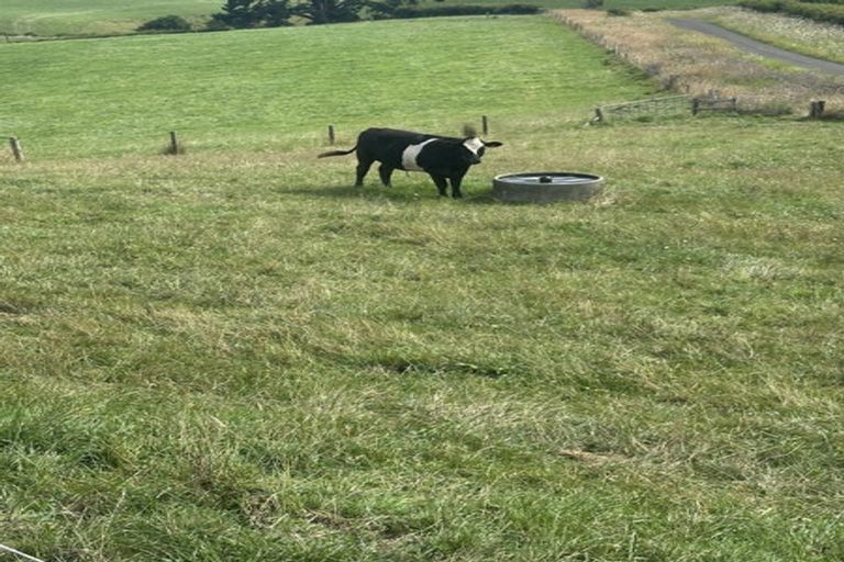 Photo of property in 563 Kopuku Road, Maramarua Forest, Te Kauwhata, 3781