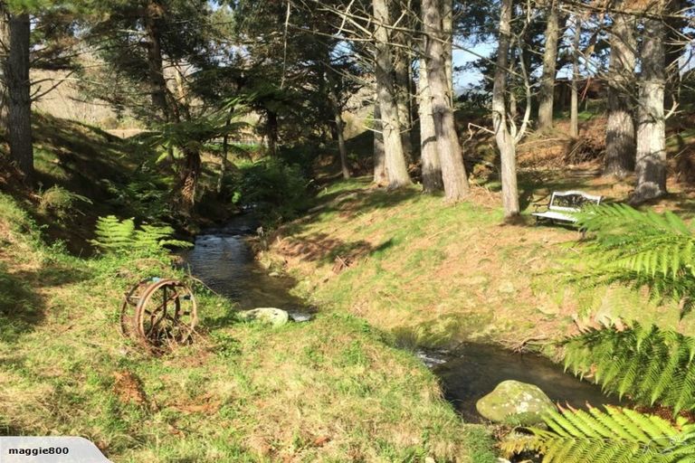 Photo of property in 19 Rifle Range Road, Waihi, 3682