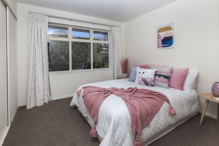 Photo of property in 44 Condell Avenue, Papanui, Christchurch, 8053