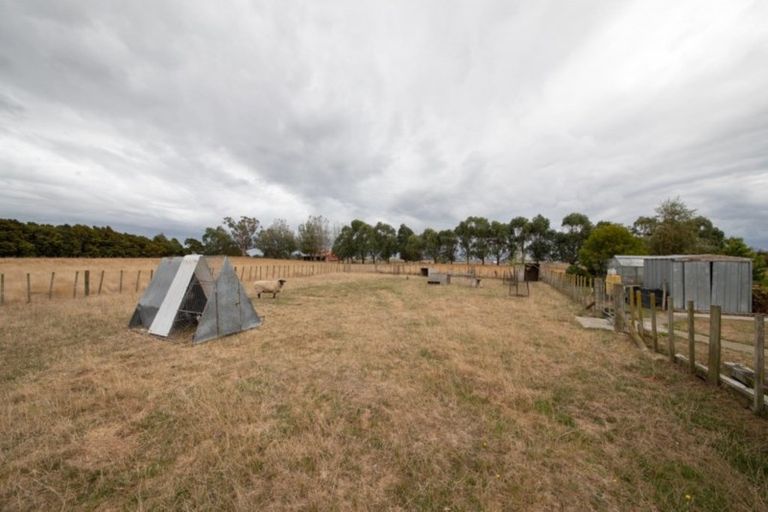 Photo of property in 355 Lethbridge Road, Feilding, 4779