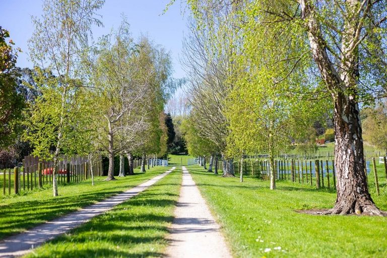 Photo of property in 34 Erin Road, Westmere, Whanganui, 4574