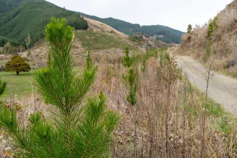 Photo of property in 266 Wairoa Gorge Road, Wairoa Valley, Brightwater, 7091