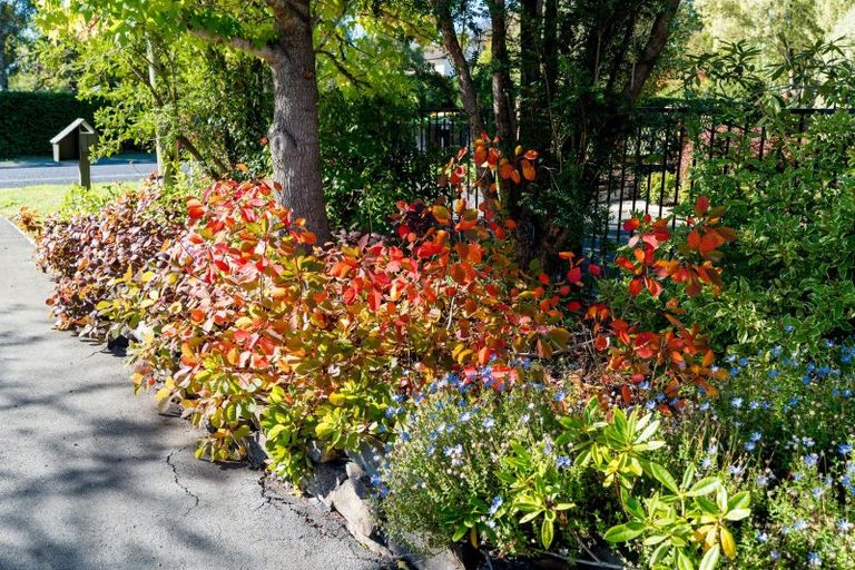 Photo of property in 6 Riccarton Road East, East Taieri, Mosgiel, 9024