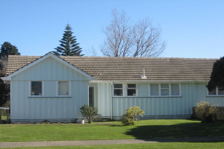 Photo of property in 10 Hinemoa Street, Levin, 5510
