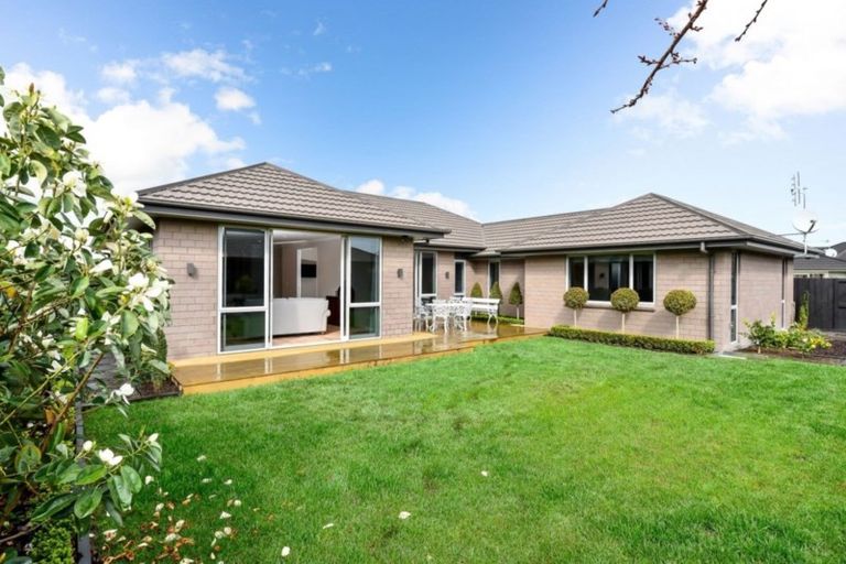 Photo of property in 49 Meadowfield Street, Flagstaff, Hamilton, 3210