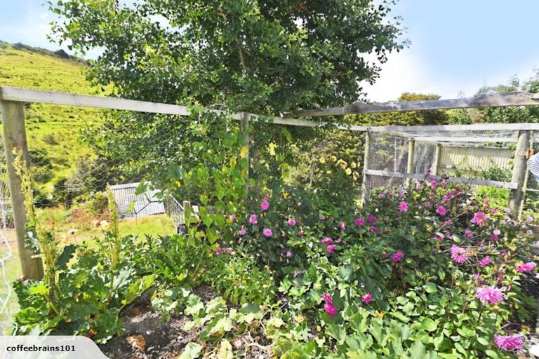 Photo of property in 122 Goat Island Road, Leigh, Warkworth, 0985