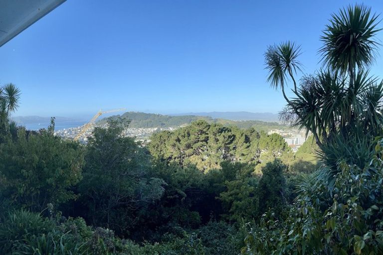 Photo of property in 3 Asquith Terrace, Brooklyn, Wellington, 6021