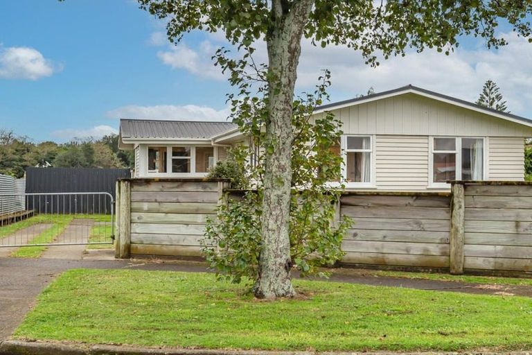 Photo of property in 14 Awatea Street, Levin, 5510