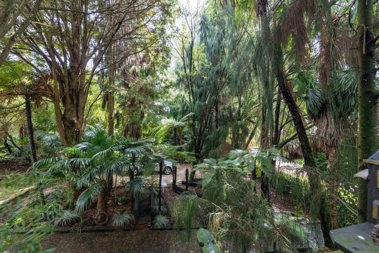 Photo of property in 6 Ngatai Street, Te Kuiti, 3910