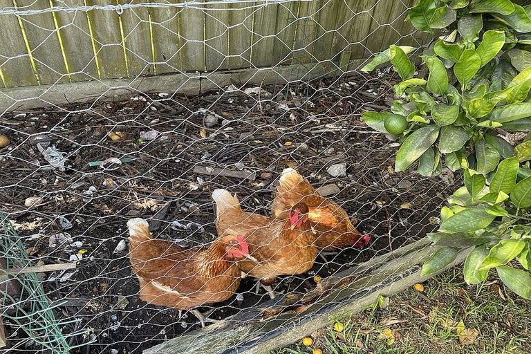 Photo of property in 67 Ranfurly Street, Dargaville, 0310