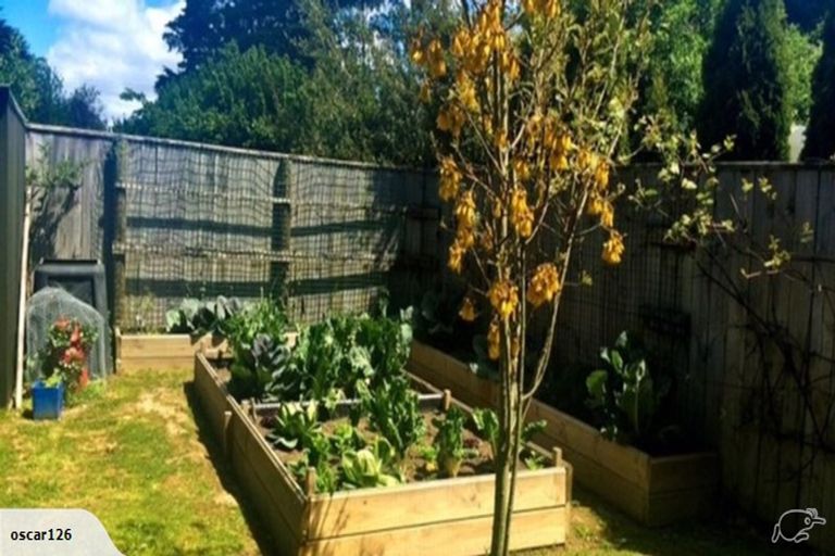 Photo of property in 18 Lincoln Road, Carterton, 5713