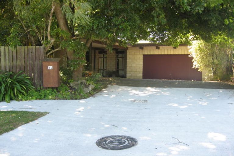 Photo of property in 12 Cullinane Avenue, Feilding, 4702