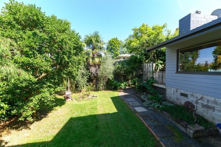 Photo of property in 19 Dudding Avenue, Northcote, Auckland, 0627