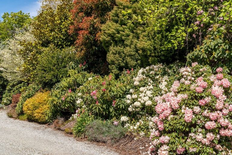 Photo of property in 19 Blacksmiths Lane, Wanaka, 9305