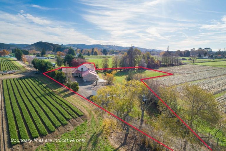 Photo of property in 38 Higgins Road, Frankton, Hamilton, 3204