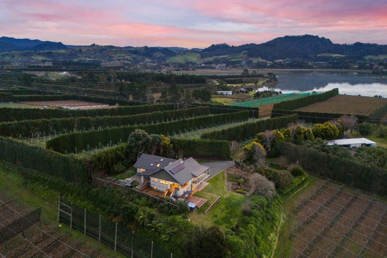 Photo of property in 252 Tuapiro Road, Tahawai, Katikati, 3170